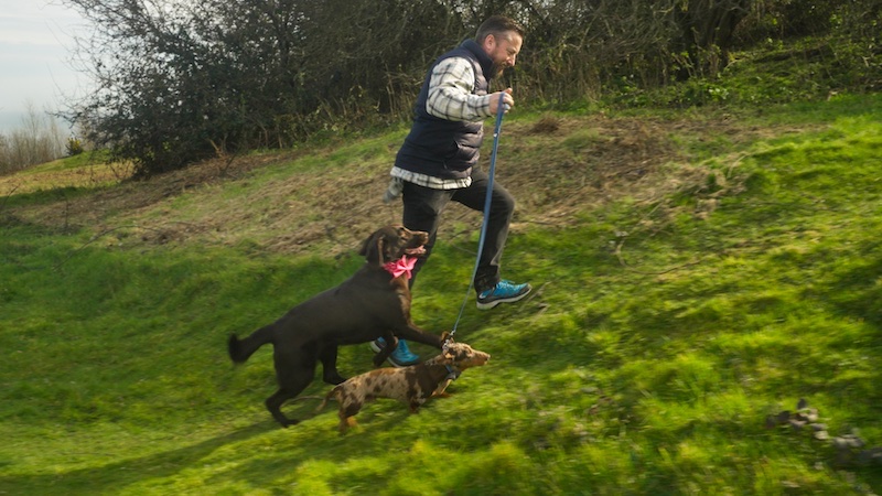 A guest walking two dogs on the clifftop
