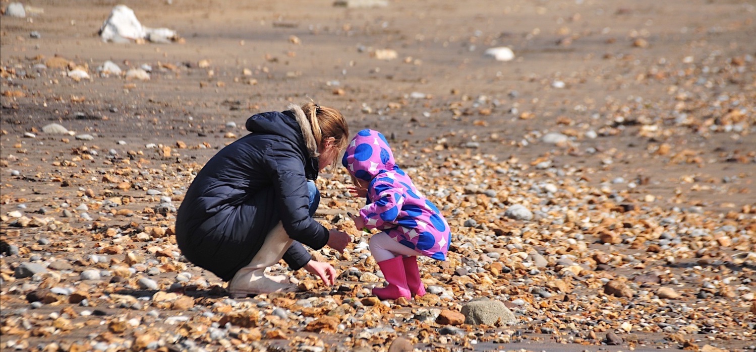 A parent and child searching for fossils on an Isle of Wight beach